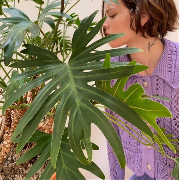 Textured Knit Sweater Cardigan lilac - Picture 11 of 11